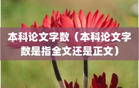 本科论文字数（本科论文字数是指全文还是正文）