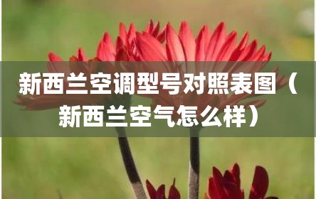 新西兰空调型号对照表图（新西兰空气怎么样）