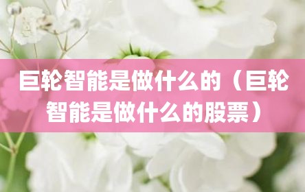 巨轮智能是做什么的（巨轮智能是做什么的股票）