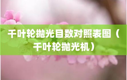 千叶轮抛光目数对照表图（千叶轮抛光机）