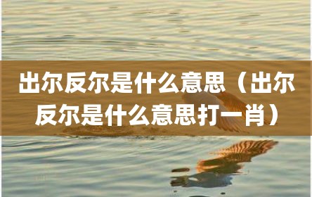 出尔反尔是什么意思（出尔反尔是什么意思打一肖）