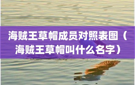 海贼王草帽成员对照表图（海贼王草帽叫什么名字）