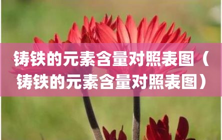 铸铁的元素含量对照表图（铸铁的元素含量对照表图）