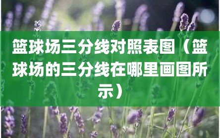 篮球场三分线对照表图（篮球场的三分线在哪里画图所示）