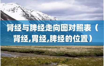 肾经与脾经走向图对照表（肾经,胃经,脾经的位置）