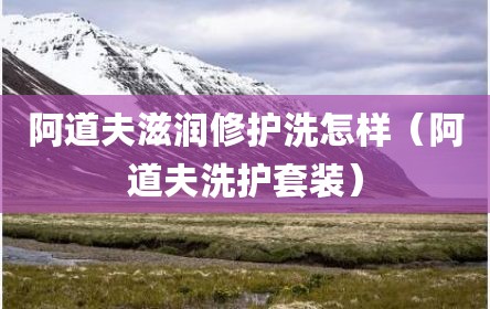 阿道夫滋润修护洗怎样（阿道夫洗护套装）