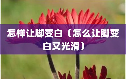 怎样让脚变白（怎么让脚变白又光滑）
