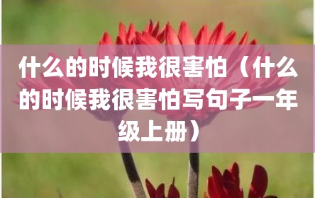 什么的时候我很害怕（什么的时候我很害怕写句子一年级上册）