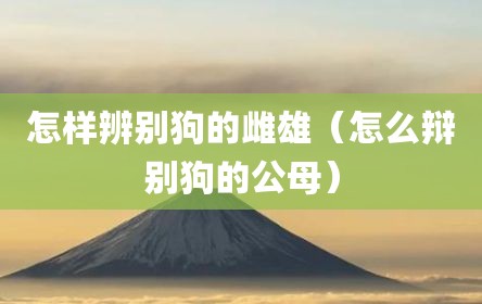 怎样辨别狗的雌雄（怎么辩别狗的公母）