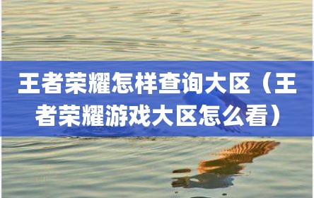 王者荣耀怎样查询大区（王者荣耀游戏大区怎么看）
