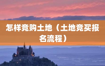 怎样竞购土地（土地竞买报名流程）