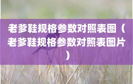 老爹鞋规格参数对照表图（老爹鞋规格参数对照表图片）