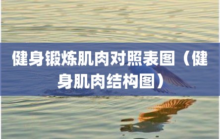 健身锻炼肌肉对照表图（健身肌肉结构图）