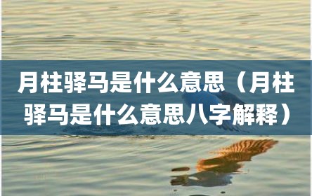 月柱驿马是什么意思（月柱驿马是什么意思八字解释）