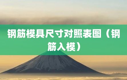 钢筋模具尺寸对照表图（钢筋入模）