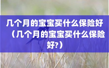 几个月的宝宝买什么保险好（几个月的宝宝买什么保险好?）