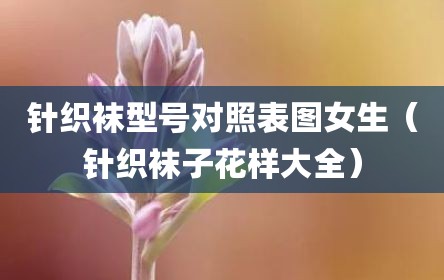 针织袜型号对照表图女生（针织袜子花样大全）