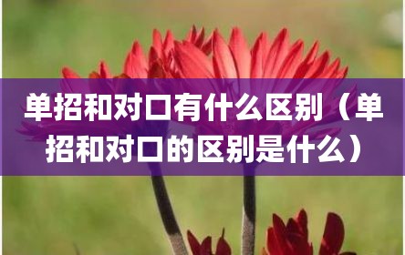 单招和对口有什么区别（单招和对口的区别是什么）