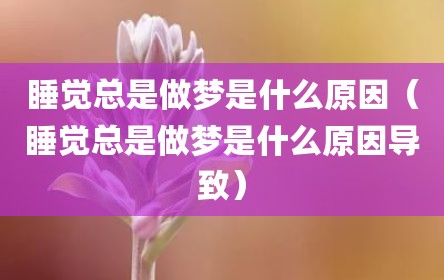 睡觉总是做梦是什么原因（睡觉总是做梦是什么原因导致）
