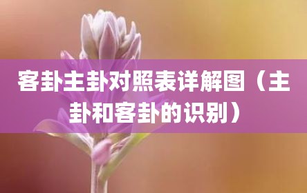 客卦主卦对照表详解图（主卦和客卦的识别）