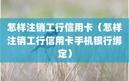 怎样注销工行信用卡（怎样注销工行信用卡手机银行绑定）