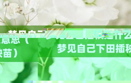 梦见自己插秧是什么意思（梦见自己下田插秧苗）