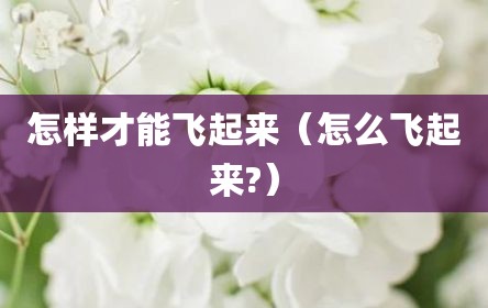 怎样才能飞起来（怎么飞起来?）