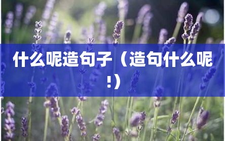 什么呢造句子（造句什么呢!）