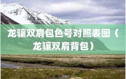 龙骧双肩包色号对照表图（龙骧双肩背包）