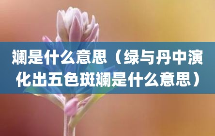 斓是什么意思（绿与丹中演化出五色斑斓是什么意思）