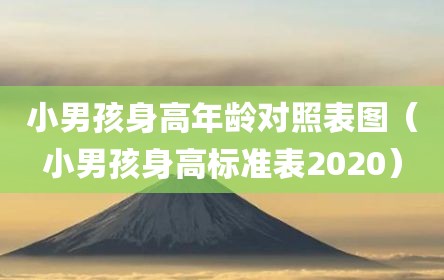 小男孩身高年龄对照表图（小男孩身高标准表2020）