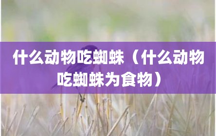 什么动物吃蜘蛛（什么动物吃蜘蛛为食物）