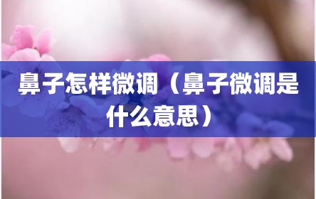鼻子怎样微调（鼻子微调是什么意思）