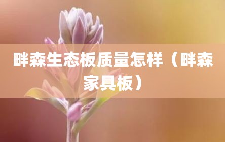 畔森生态板质量怎样（畔森家具板）