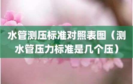 水管测压标准对照表图（测水管压力标准是几个压）