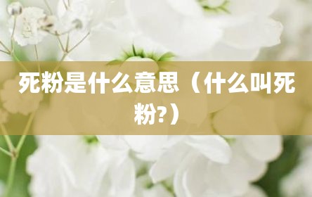 死粉是什么意思（什么叫死粉?）