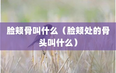 脸颊骨叫什么（脸颊处的骨头叫什么）