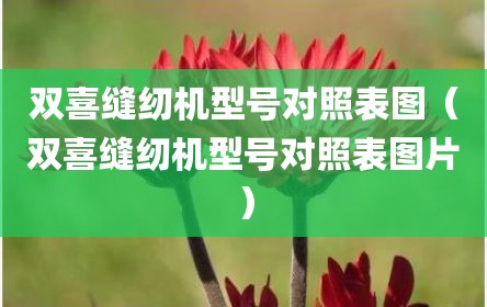 双喜缝纫机型号对照表图（双喜缝纫机型号对照表图片）