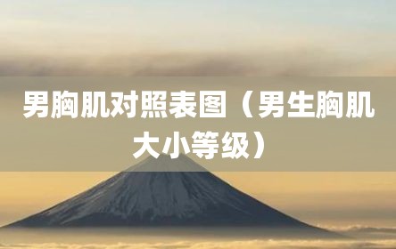 男胸肌对照表图（男生胸肌大小等级）