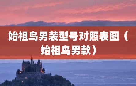 始祖鸟男装型号对照表图（始祖鸟男款）