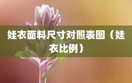 娃衣面料尺寸对照表图（娃衣比例）