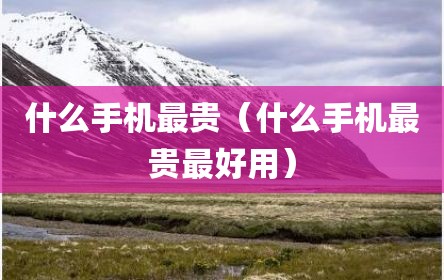 什么手机最贵（什么手机最贵最好用）