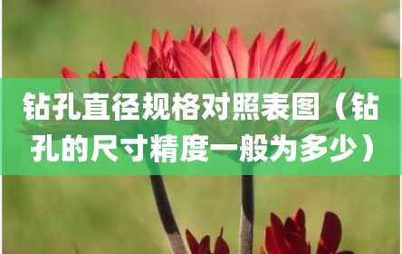 钻孔直径规格对照表图（钻孔的尺寸精度一般为多少）