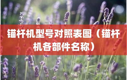 锚杆机型号对照表图（锚杆机各部件名称）