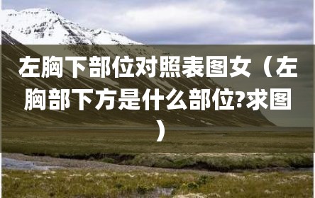 左胸下部位对照表图女（左胸部下方是什么部位?求图）