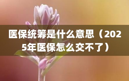 医保统筹是什么意思（2025年医保怎么交不了）