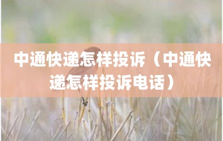 中通快递怎样投诉（中通快递怎样投诉电话）