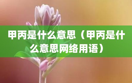 甲丙是什么意思（甲丙是什么意思网络用语）