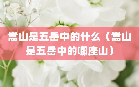 嵩山是五岳中的什么（嵩山是五岳中的哪座山）