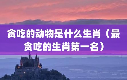 贪吃的动物是什么生肖（最贪吃的生肖第一名）